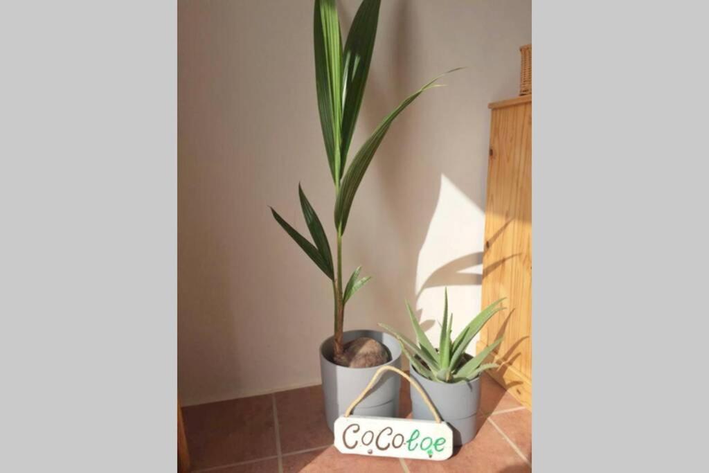 Casa Cocoloe Lajares Villa ภายนอก รูปภาพ